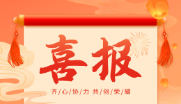 【喜报】佰墨思荣获“专精特新”中小企业认证